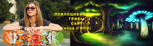 ПСИЛОЦИБИНОВЫЕ ГРИБЫ Балабаново