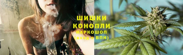 ПСИЛОЦИБИНОВЫЕ ГРИБЫ Балабаново