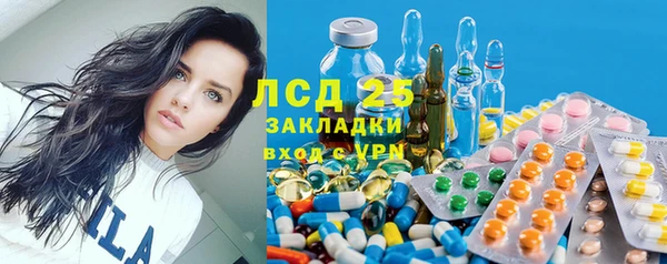ПСИЛОЦИБИНОВЫЕ ГРИБЫ Балабаново