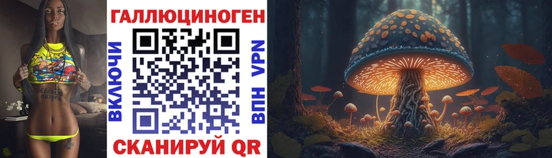 Купить  Белебей  Псилоцибиновые грибы Cubensis 