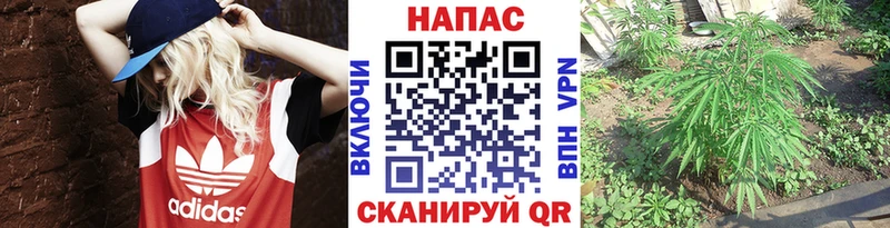 Канабис SATIVA & INDICA  Купить где  Белебей 